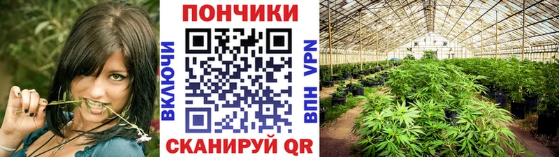 Купить наркотик Ярославль Галлюциногенные грибы  Мефедрон  ГАШ 