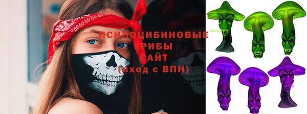 apvp Алзамай