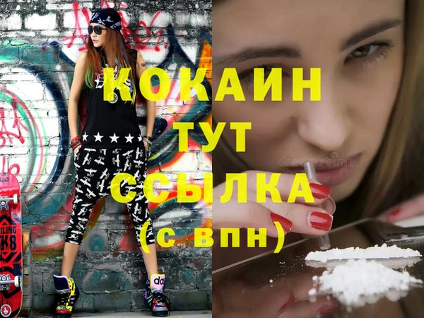 дживик Абинск
