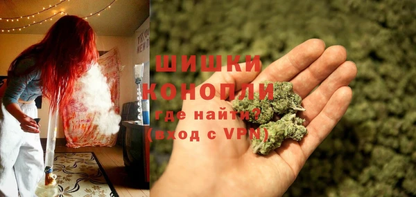 дживик Абинск