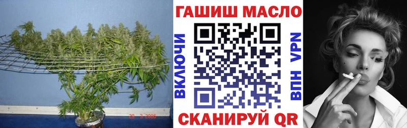Дистиллят ТГК THC oil  где купить наркоту  Ярославль 
